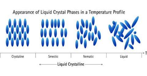 Liquid Crystals