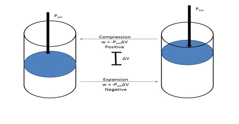 Work of Expansion in Thermodynamics