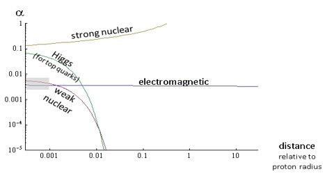 Comparison of Intensities of the Fundamental Force