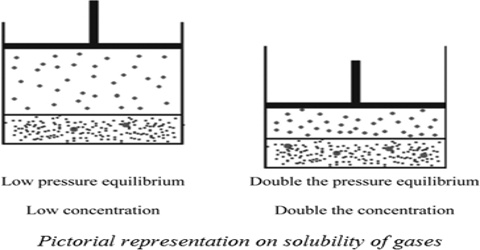 Influence of Pressure on Solubility