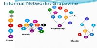 Which Factors are Liable for Operating Grapevine Communication?