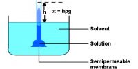 Determination of Osmotic Pressure by Berkeley and Hartley’s Method