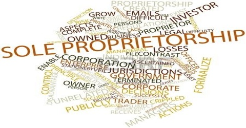 Who is Proprietor?