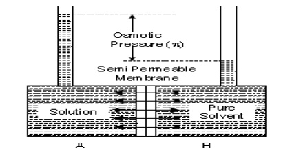 Semi-permeable Membrane: Vapour Pressure Theory