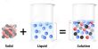 Solid – Liquid Solution: The Solution Process