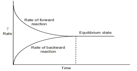 Dynamic Chemical Equilibrium