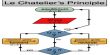Factors Influencing Equilibrium: The Principle of Le Chatelier