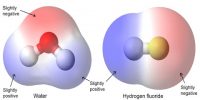 Inter Atomic Force in Liquids