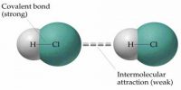 Intermolecular Force in State of Matter
