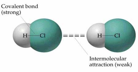 Inter Molecular Attractive