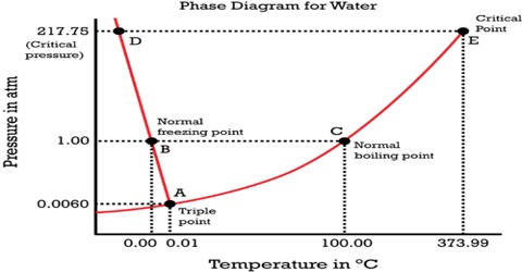 One Component Phase Systems: Water System