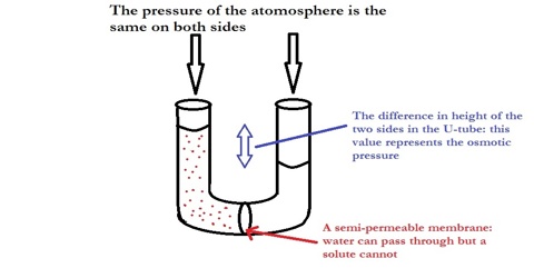 Thermodynamic Derivation of Osmotic Pressure Laws