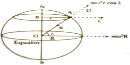 Variation due to the Rotation of the Earth about its Axis - QS Study