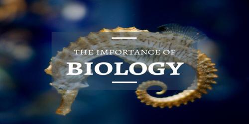 Importance of Biology in Economic and Environmental Growth