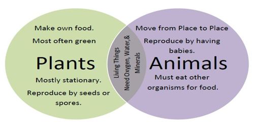 Distinctiveness of Plants and Animals - QS Study