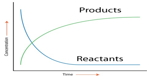 Rate of the Reaction: Explanation