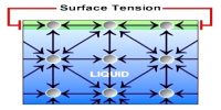 Explanation of Surface Tension by Laplace’s Molecular Theory