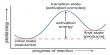 Theory of Absolute Reaction Rate