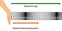 Experiment: Demonstration of Longitudinal Wave