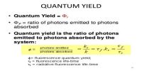 Determination of Quantum Yield