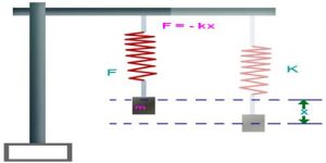 Experiment: Determination of the Spring Constant - QS Study