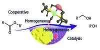 Differences between Homogeneous Catalysis and Heterogeneous Catalysis