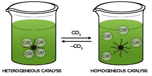 Homogeneous Catalysis Qs Study