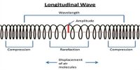 Characteristics of Longitudinal Wave
