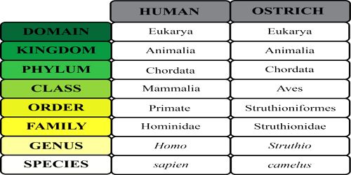 Taxonomic Classification - QS Study