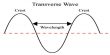 Transverse Wave