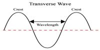 Characteristics of Transverse Waves