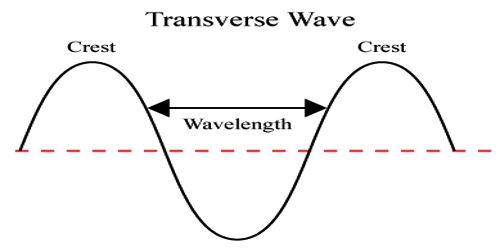 Transverse Wave