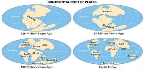 Continental Drift - QS Study