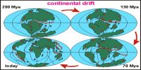 Evidence in Support of the Continental Drift