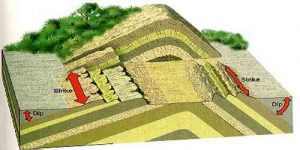 Diastrophism - QS Study