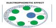 Electrophoretic Effect of of Electrolytic Solution