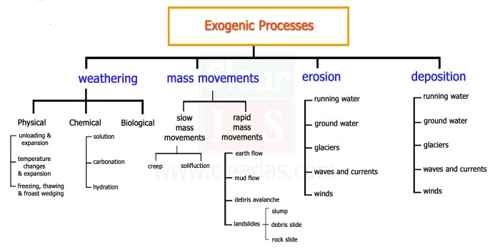 What is the Sole Driving Force behind all the Exogenic Processes?