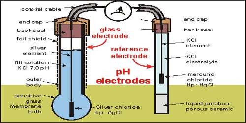 Glass Electrode: the pH Meter
