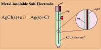 Metal-insoluble Salt Electrode in Half-Cells