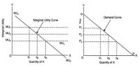 Basic Assumption of Marshallian Utility Analysis