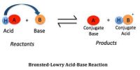 Acids and Bases: Bronsted-Lowry Concept