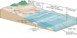 Low Sedimentary Coasts: Erosional Landforms