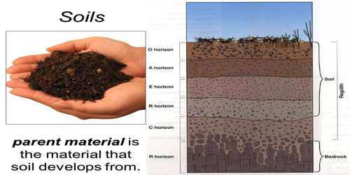 Parent Material: Soil Forming Factor