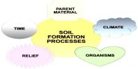 Process of Soil Formation
