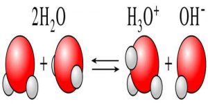 Self-Ionization (or autoionization) of Water - QS Study