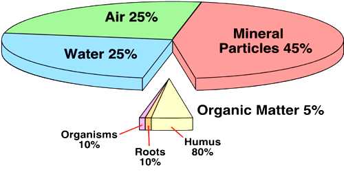 Soil Formation: Soil Contents