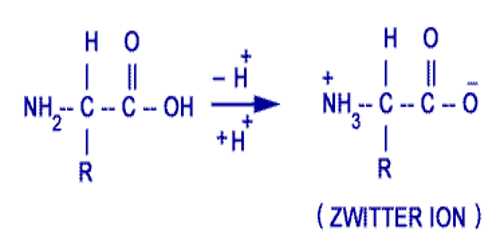 Amphoteric Electrolytes: Zwitter Ions
