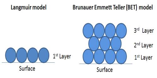 BET (Brunauer, Emmet, and Teller) Isotherm
