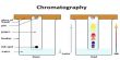 Effective Separation by Chromatography