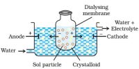 Purification of Colloids: Dialysis and Electrodialysis